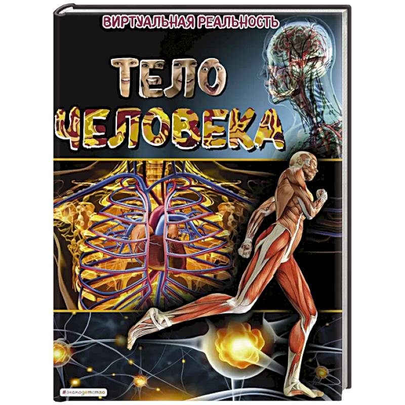 Тело человека. Виртуальная реальность