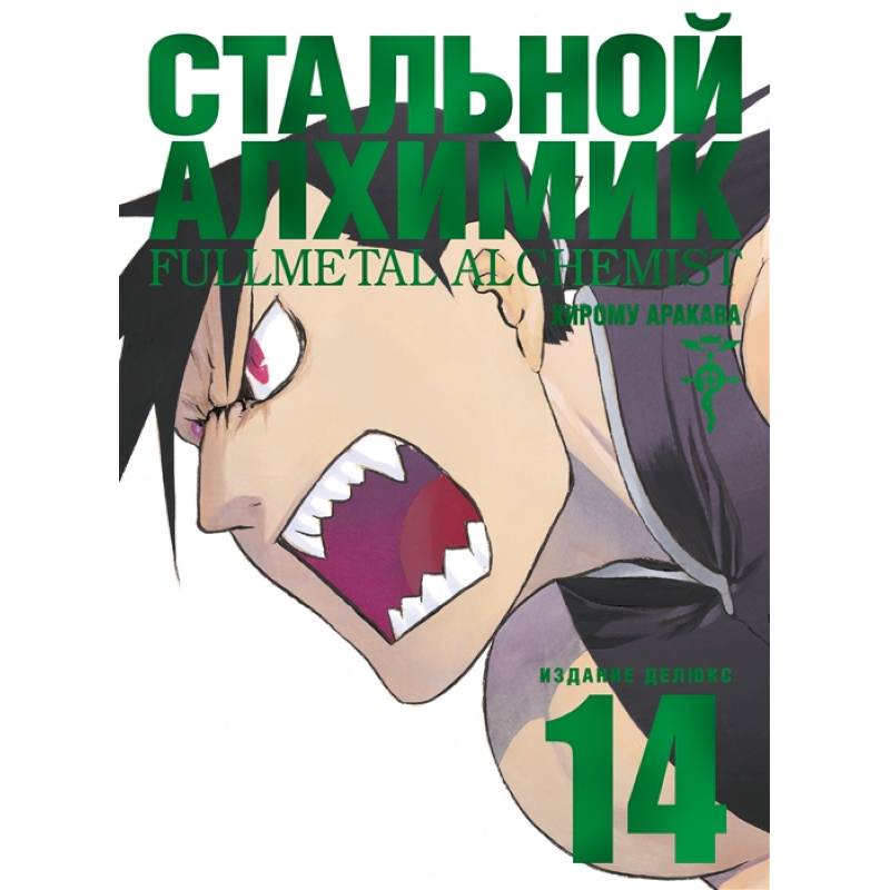 Стальной Алхимик. Книга 14