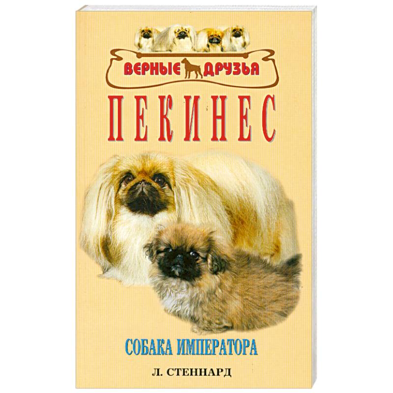 Пекинес арт (66 фото) » идеи рисунков для срисовки и картинки в стиле арт - ptichiibereg.ru