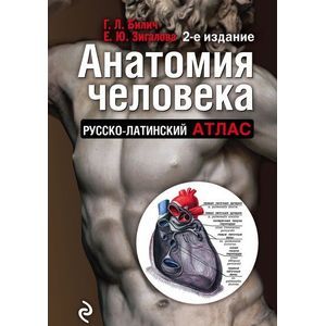 Анатомия человека. Русско-латинский атлас