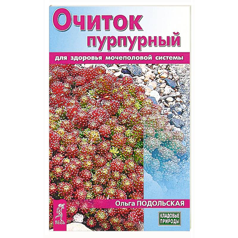 Очиток пурпурный для здоровья мочеполовой системы