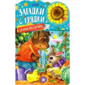 Загляни под картинку. Загадки с грядки