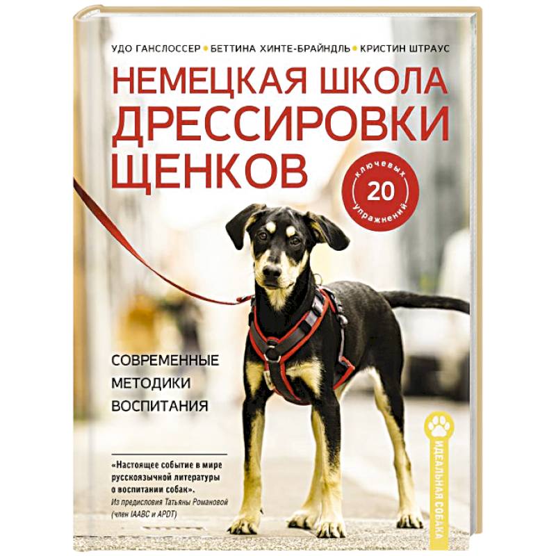Немецкая школа дрессировки щенков. Современные методики воспитания