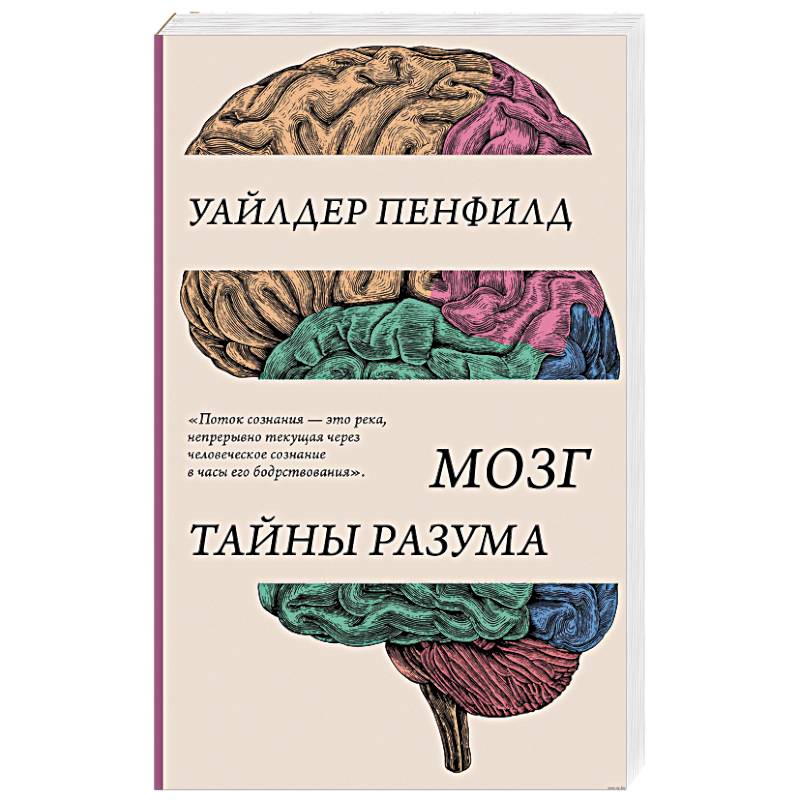 Мозг. Тайны разума