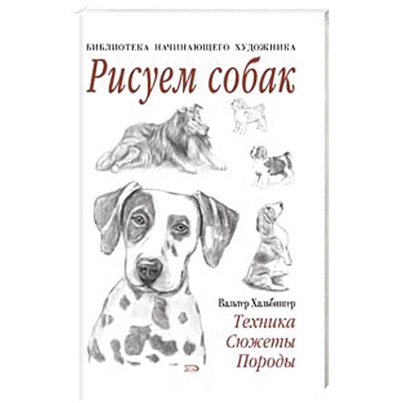 Как нарисовать собаку тем, кто вообще не художник