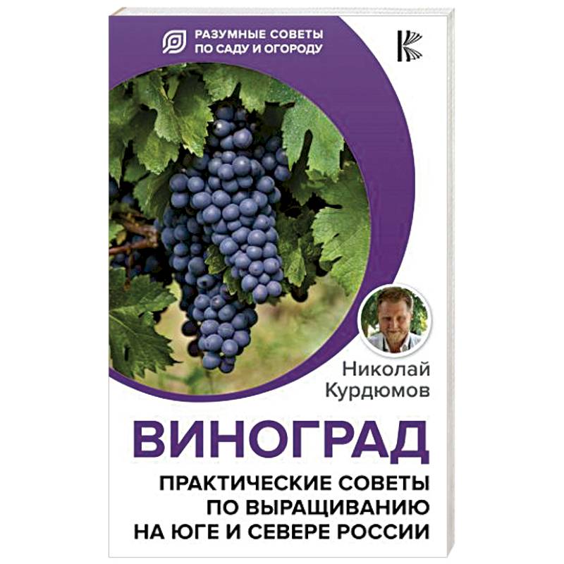 Виноград. Практические советы по выращиванию на юге и севере России
