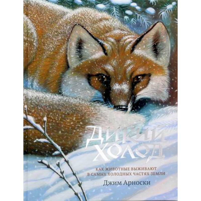 Дикий холод