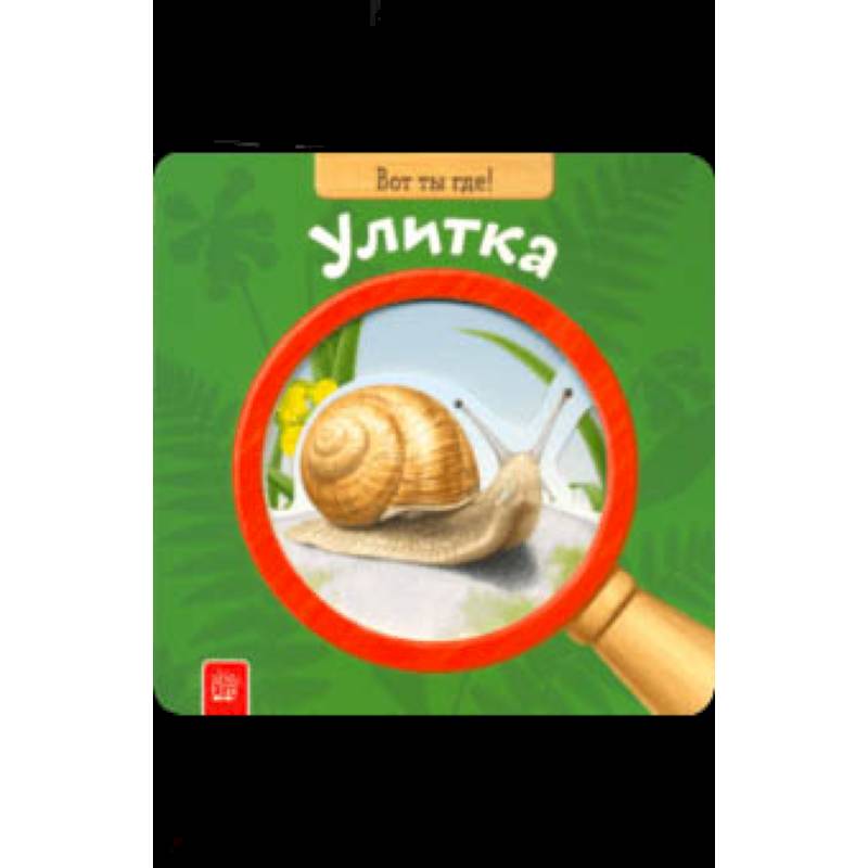 Вот ты где! Улитка