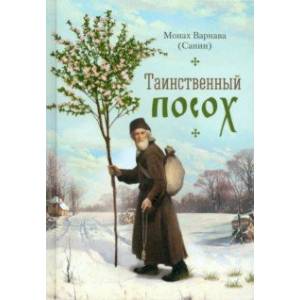 Таинственный посох