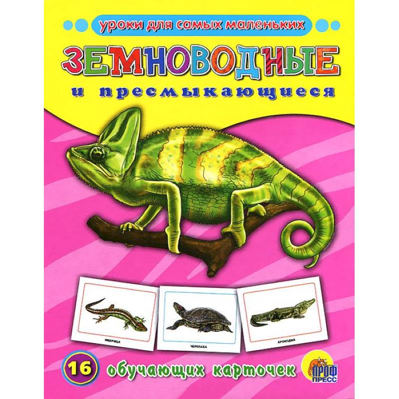 Земноводные и пресмыкающиеся. 16 обучающих карточек