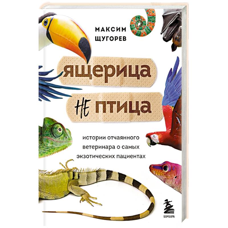 Ящерица не птица. Истории отчаянного ветеринара о самых экзотических пациентах