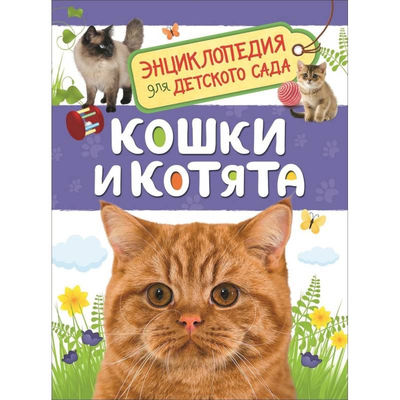 Кошки и котята