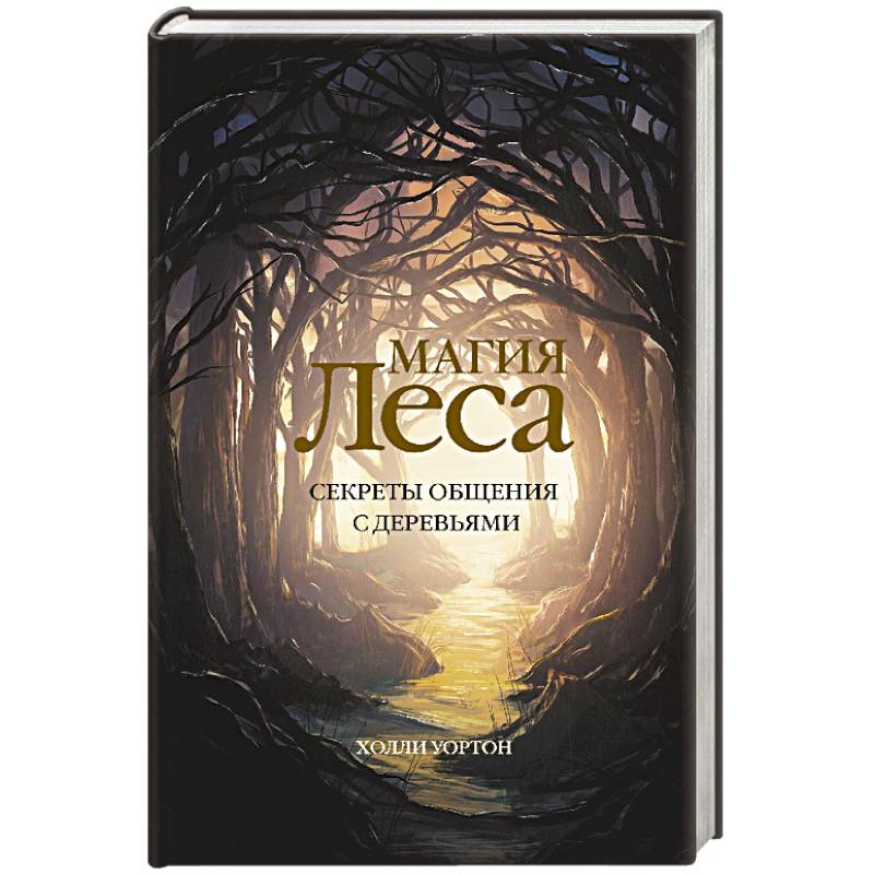 Линцесса тайны леса отзывы. Секреты леса. Лесное волшебство книга. Волшебство в лесу. В бесконечном лесу книга.