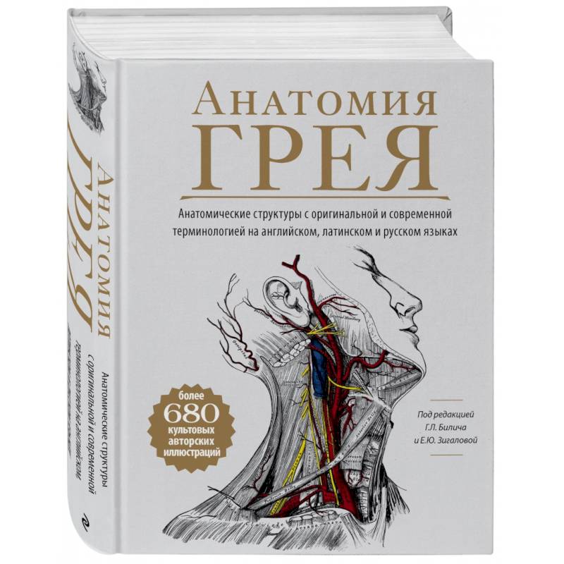 Анатомия отзывы. Анатомия Грея книга. Анатомия обложка. Атлас анатомии Грея. Анатомические стихи для студентов.