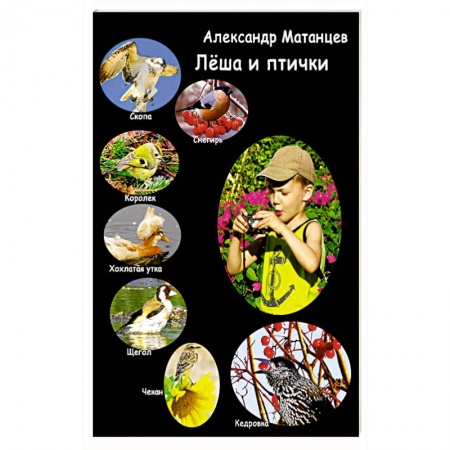 Русская поэзия для детей, книга Лёша и птички купить по скидке