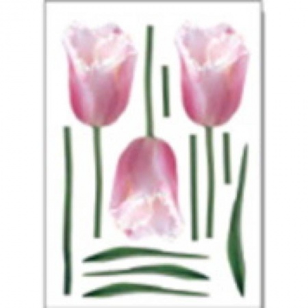 Книги, книга Наклейки для интерьера 'Тюльпаны' (HD-1004) купить по скидке
