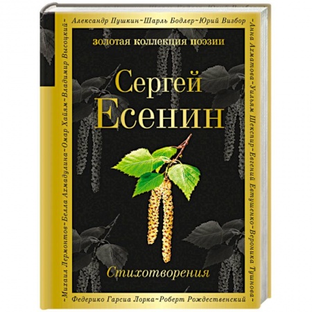 Русская поэзия, книга Стихотворения купить по скидке