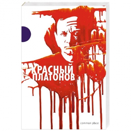 Дневники. Письма. Записки, книга Красный Платонов купить по скидке