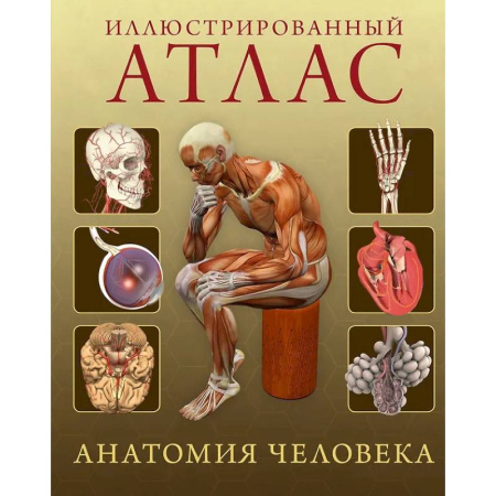 Анатомия и физиология человека, книга Анатомия человека 360. Иллюстрированный атлас купить по скидке