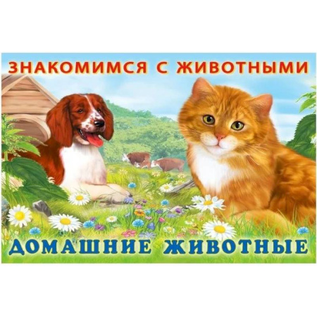 Животный и растительный мир, книга Домашние животные купить по скидке