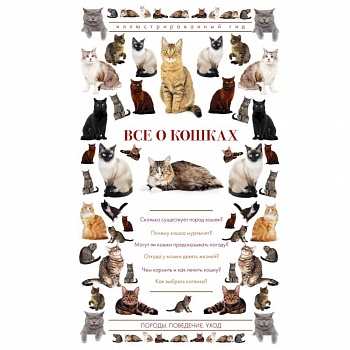 Все о кошках. Иллюстрированный гид