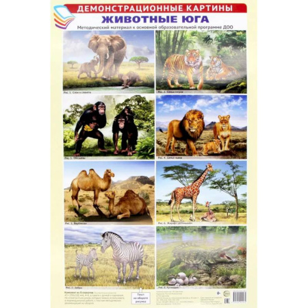 Животный и растительный мир, книга Демонстрационные картины А3. Животные Юга (8 плакатов) купить по скидке