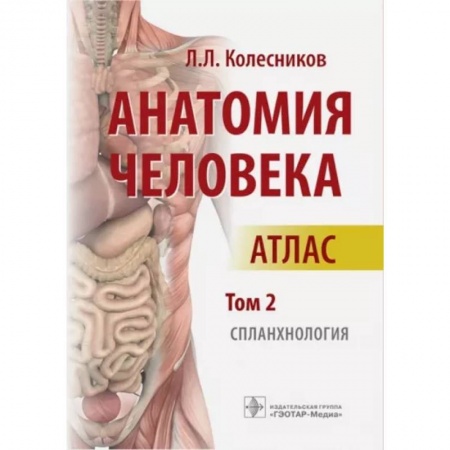 Анатомия и физиология человека, книга Анатомия человека. Атлас. Том 2. Спланхнология купить по скидке