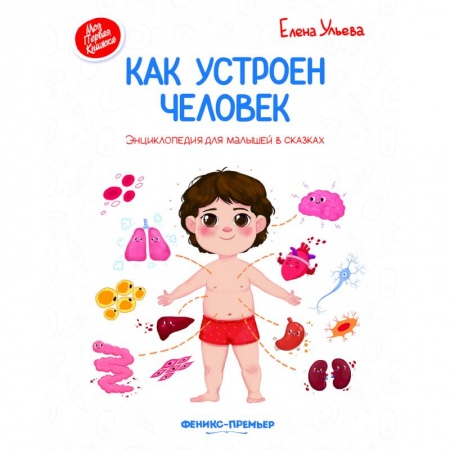 Человек. Земля. Вселенная, книга Как устроен человек. Энциклопедия для малышей в сказках купить по скидке