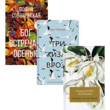 Русская современная проза, книга Женская проза купить по скидке