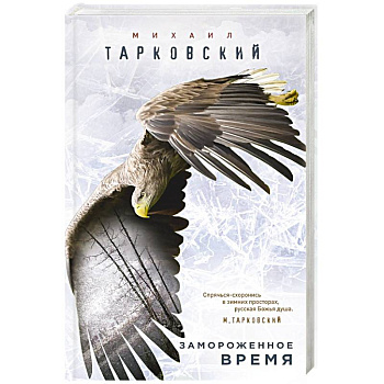 Замороженное время