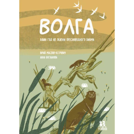 Познавательная литература, книга Волга. Один год из жизни пресноводного биома купить по скидке