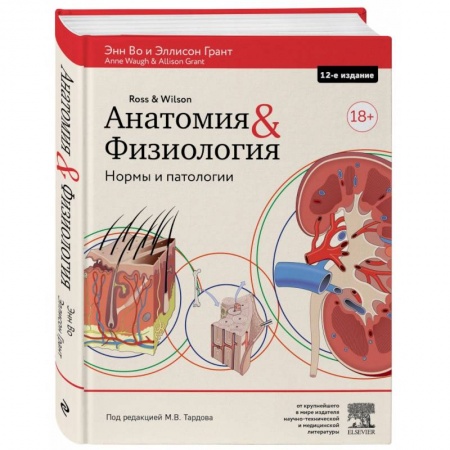 Анатомия и физиология человека, книга Анатомия и физиология. Нормы и патологии купить по скидке