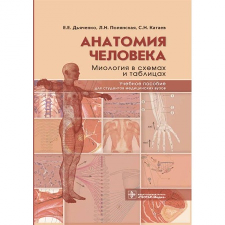 Книги, книга Анатомия человека:Миология в схемах и таблицах купить по скидке