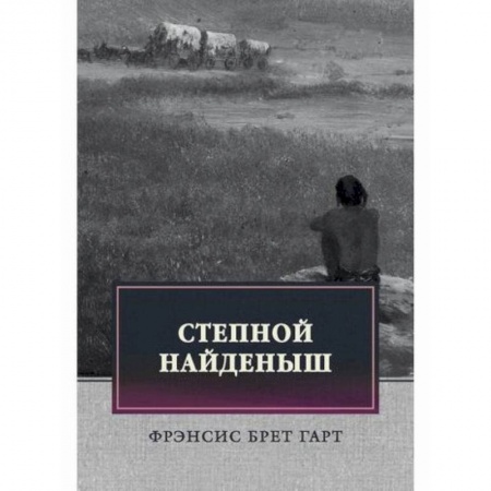 Зарубежная современная проза, книга Степной найденыш купить по скидке
