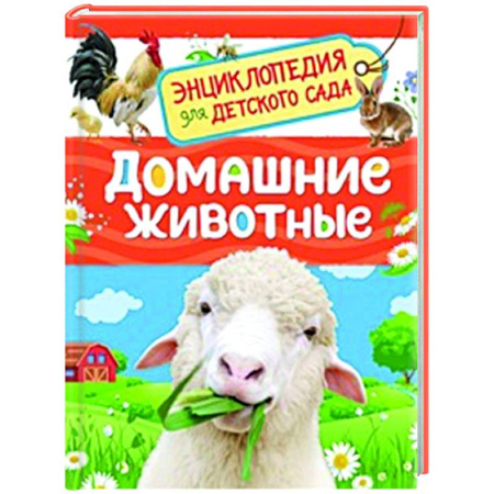 Животный и растительный мир, книга Домашние животные купить по скидке