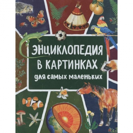 Знакомство с миром, развитие малыша, книга Энциклопедия в картинках для самых маленьких купить по скидке