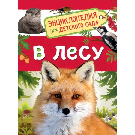 Животный и растительный мир, книга В лесу купить по скидке