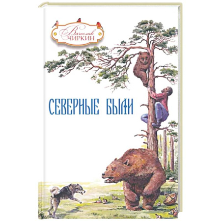 Эссе, письма, очерки, книга Северные были купить по скидке