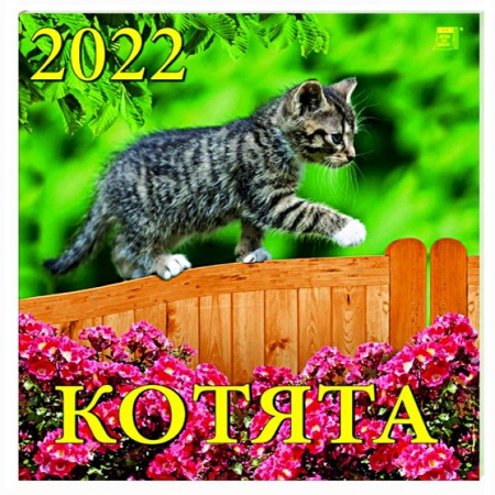 Календарь на 2022 год 'Котята' (70205)