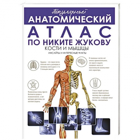 Анатомия и физиология человека, книга Популярный анатомический атлас по Никите Жукову: кости и мышцы. Инсайты и интересные факты купить по скидке
