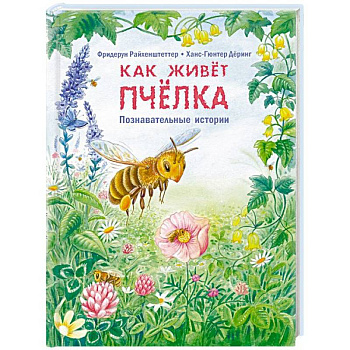Как живёт пчёлка. Познавательные истории