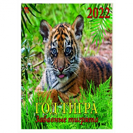 2022 Календарь Год тигра. Забавные тигрята