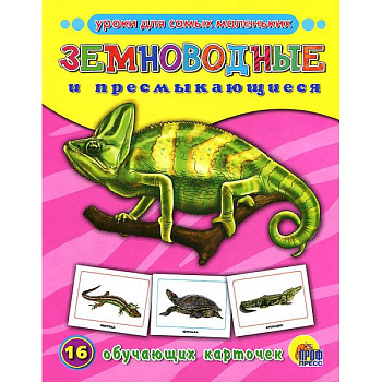 Земноводные и пресмыкающиеся. 16 обучающих карточек