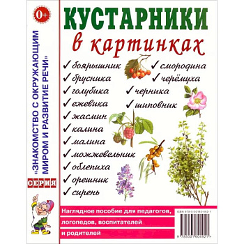 Кустарники в картинках. Наглядное пособие для педагогов, логопедов, воспитателей и родителей