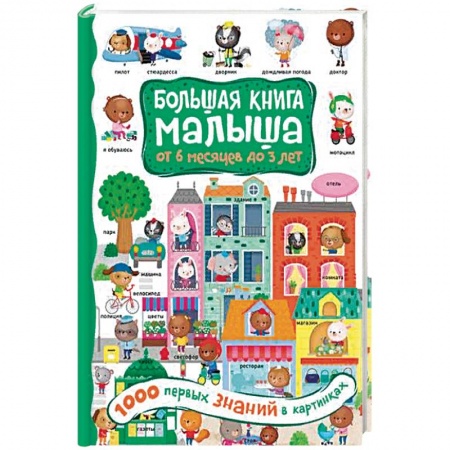 Знакомство с миром, развитие малыша, книга 1000 первых знаний в картинках купить по скидке