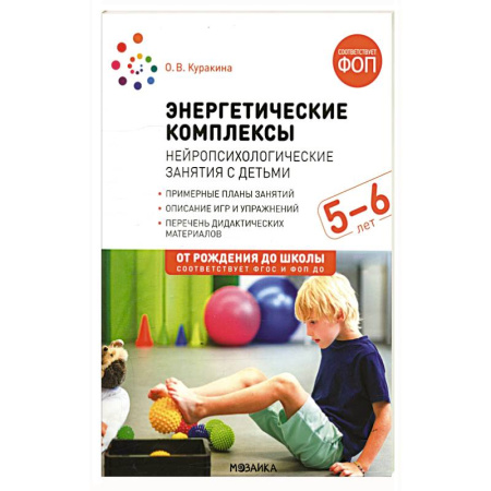 Воспитание и педагогика, книга Энергетические комплексы Нейропсихологические занятия с детьми 5-6 лет купить по скидке