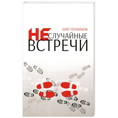 Духовная литература, книга Неслучайные встречи купить по скидке