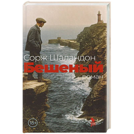 Зарубежная современная проза, книга Бешеный купить по скидке