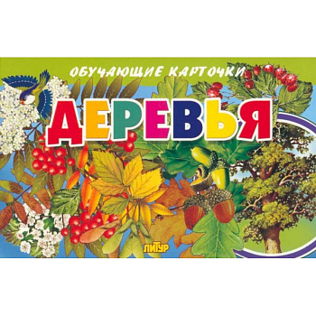 Карточки. Деревья