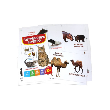 Знакомство с миром, развитие малыша, книга Мамы и детки купить по скидке